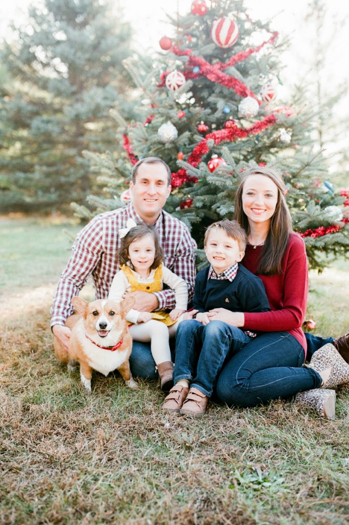 lincoln ne christmas mini session